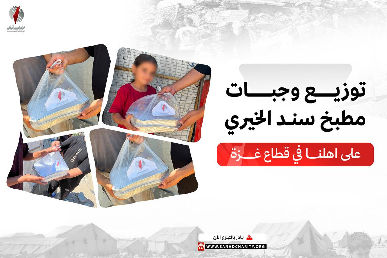 ما قدمته سند في سبتمبر 2026